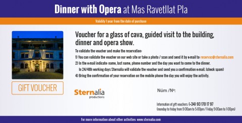 Dinner with Opera
