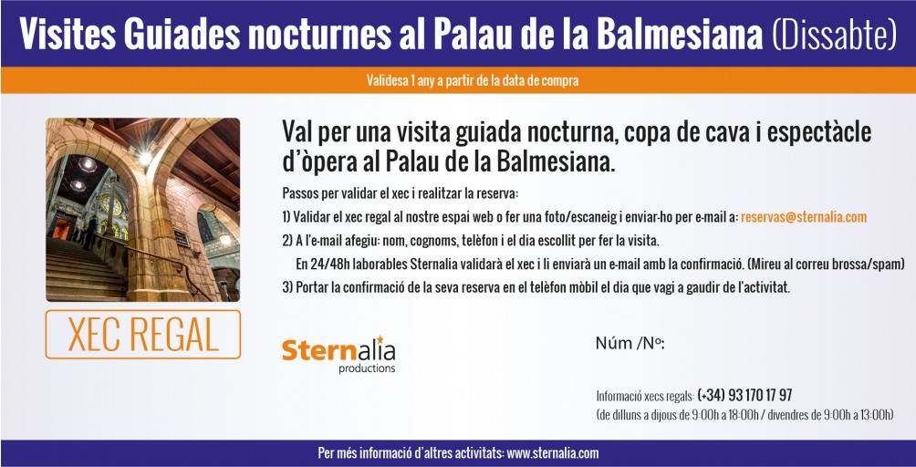 VISITA GUIADA nocturna al Palau de la Balmesiana
