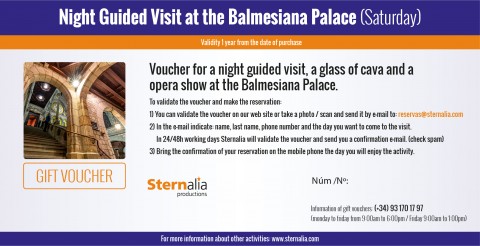Night guided visit at the Balmesiana Palace
