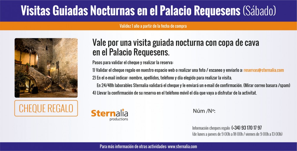 VISITAS GUIADAS nocturnas en el Palacio Requesens (Sábado)