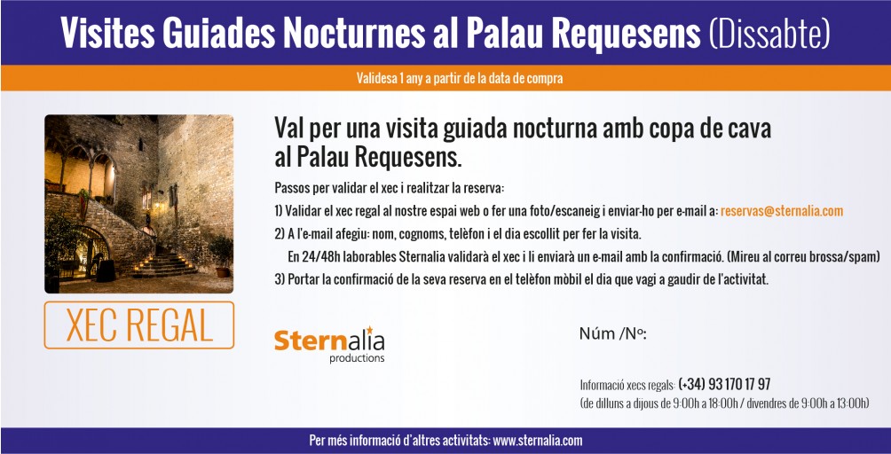 VISITES GUIADES nocturnes al Palau Requesens (Dissabte)