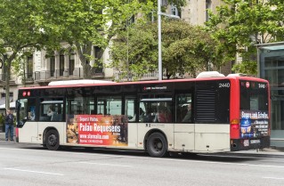 Sternalia on bus!